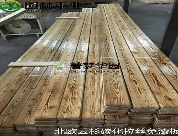 好色视频下载的特點及養護常識
