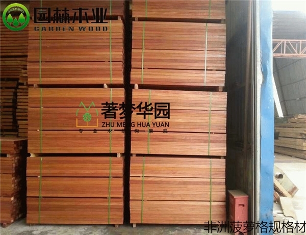非洲菠蘿格這麽受歡迎，它有什麽優點呢